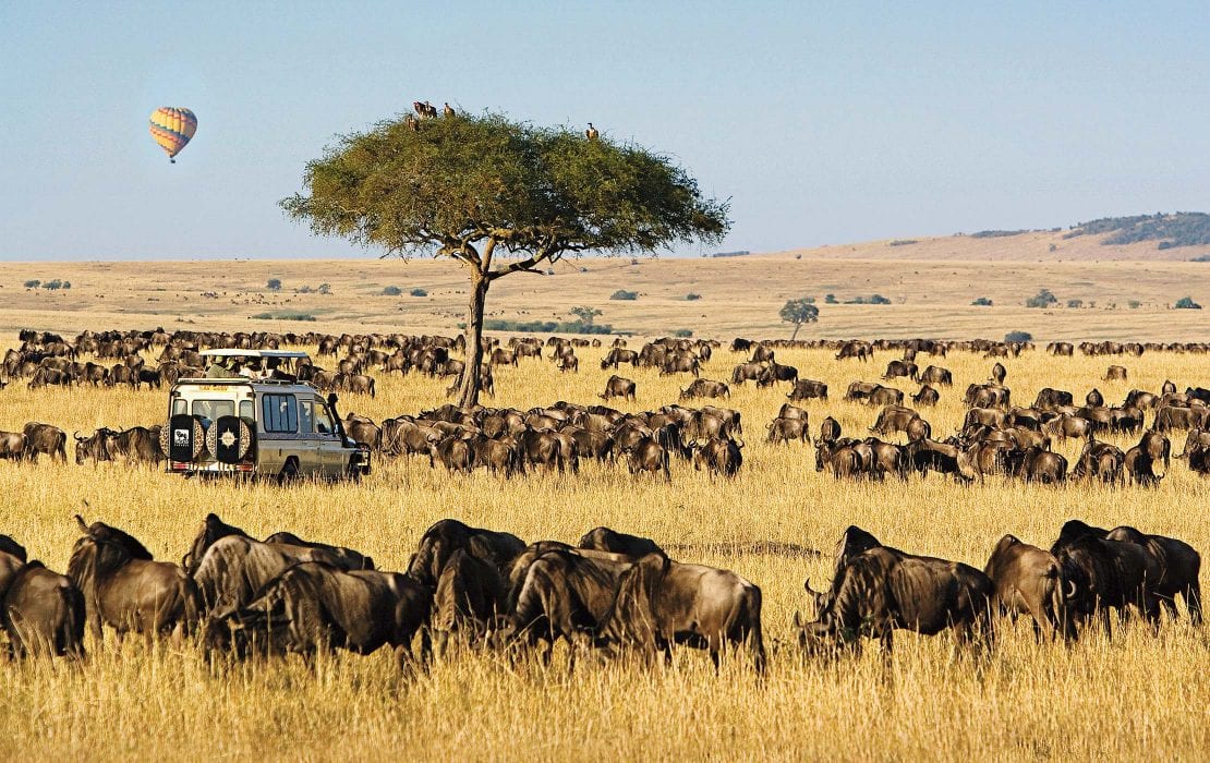 Safari Van